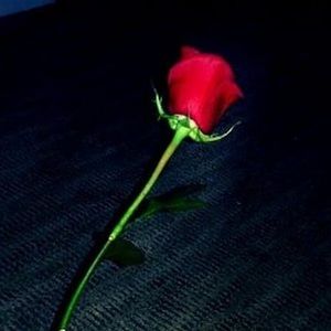 Meet your Posher, Elaria